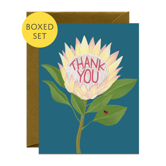 PROTEA FLOWER AND LADYBUG - THANK YOU GREETING CARDS, BOXED SET OF 8