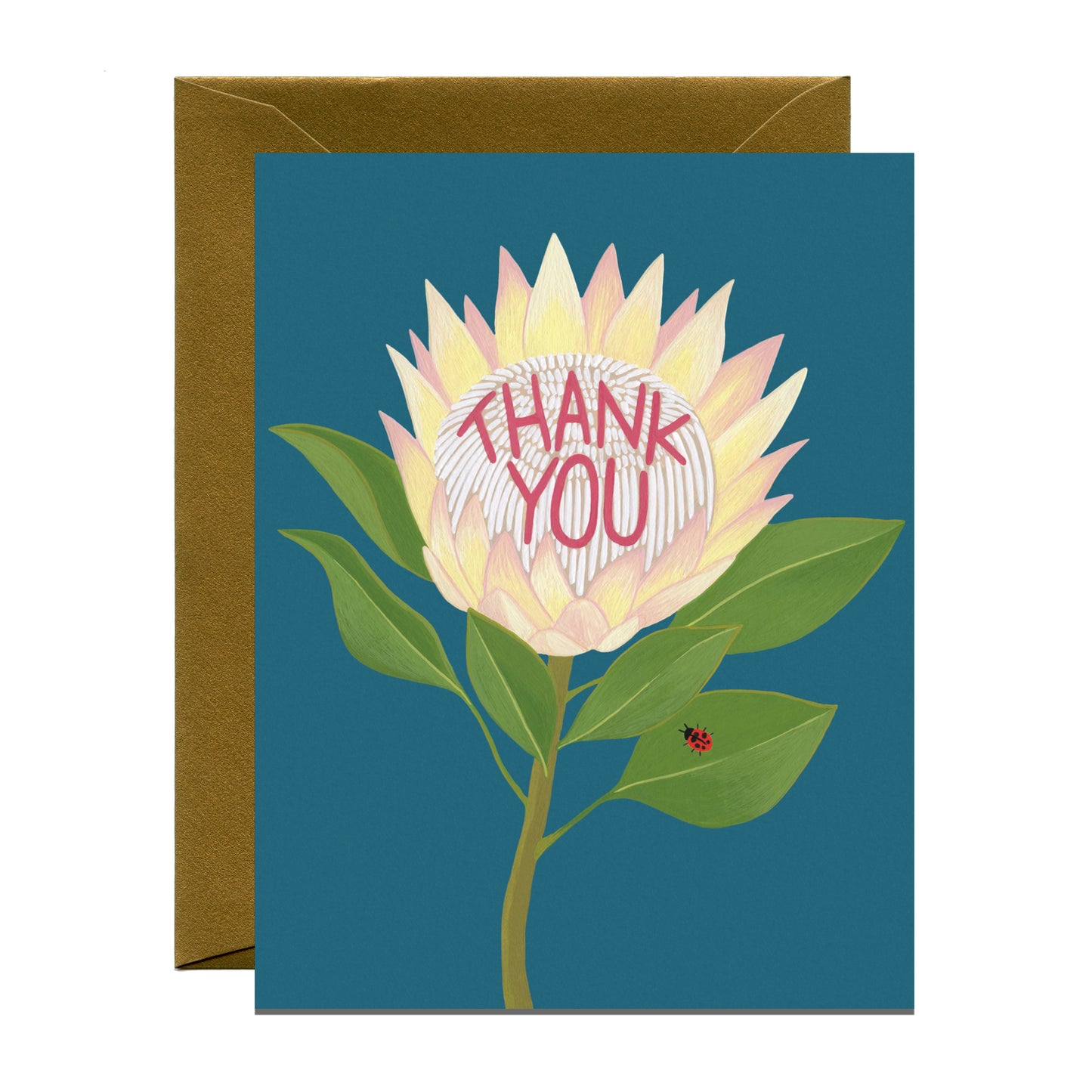 PROTEA FLOWER AND LADYBUG - THANK YOU GREETING CARD