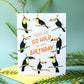 WILD TOUCANS - BIRTHDAY GREETING CARD